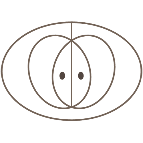logo onp