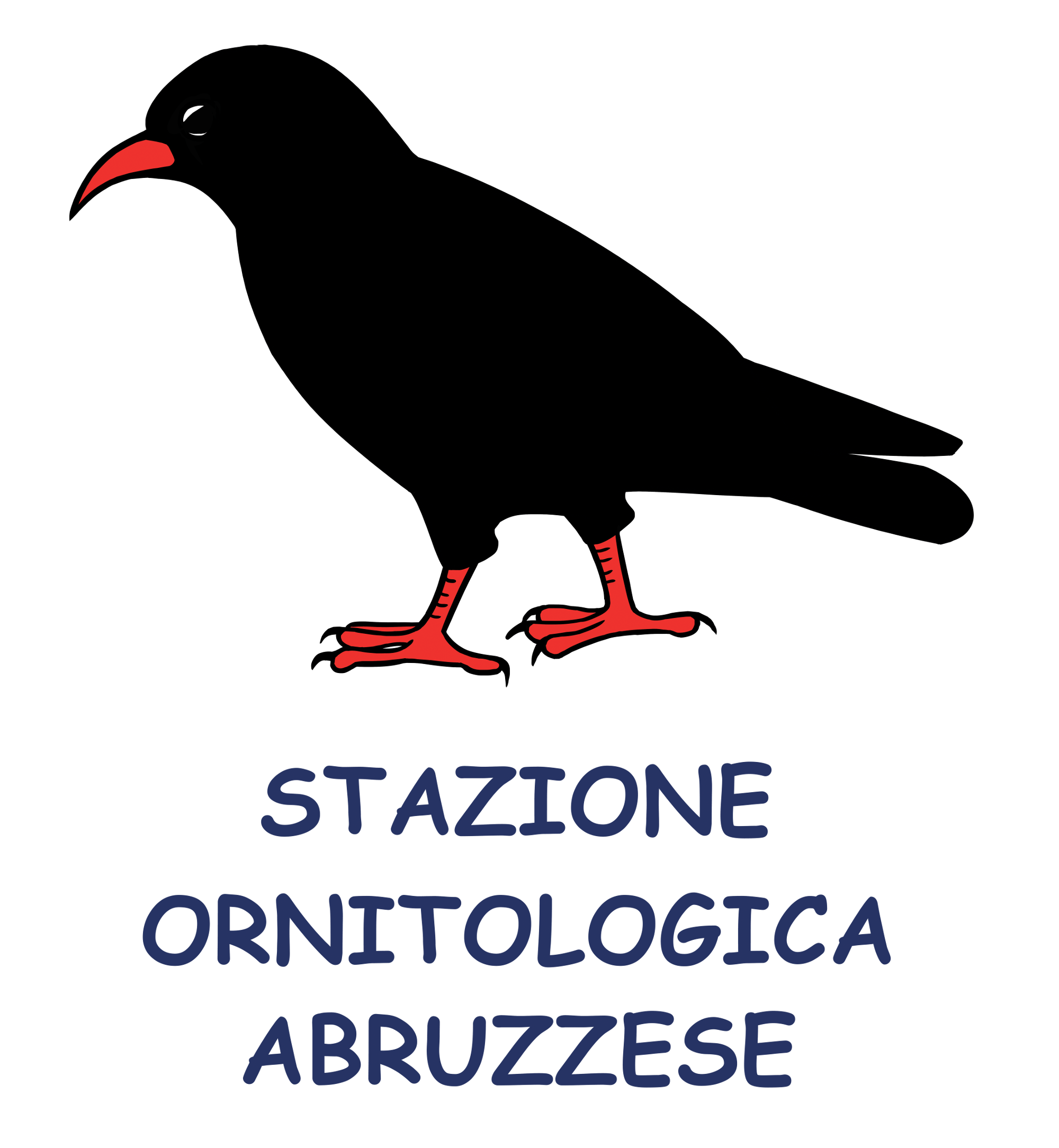 logo onp