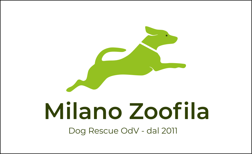 logo onp