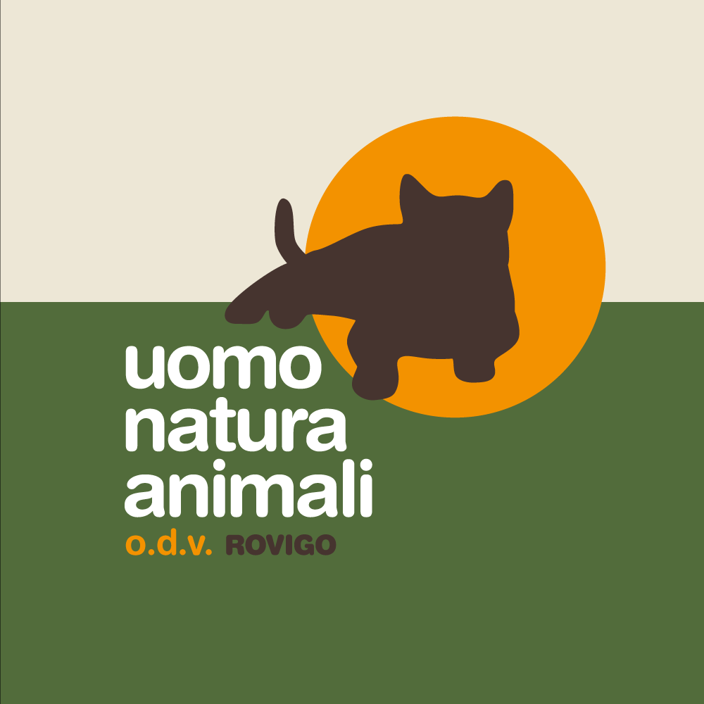 logo onp