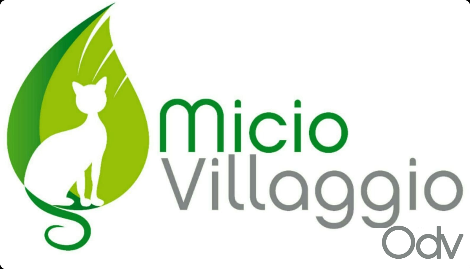 logo onp