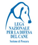 logo onp