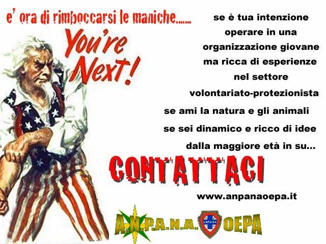 onp media
