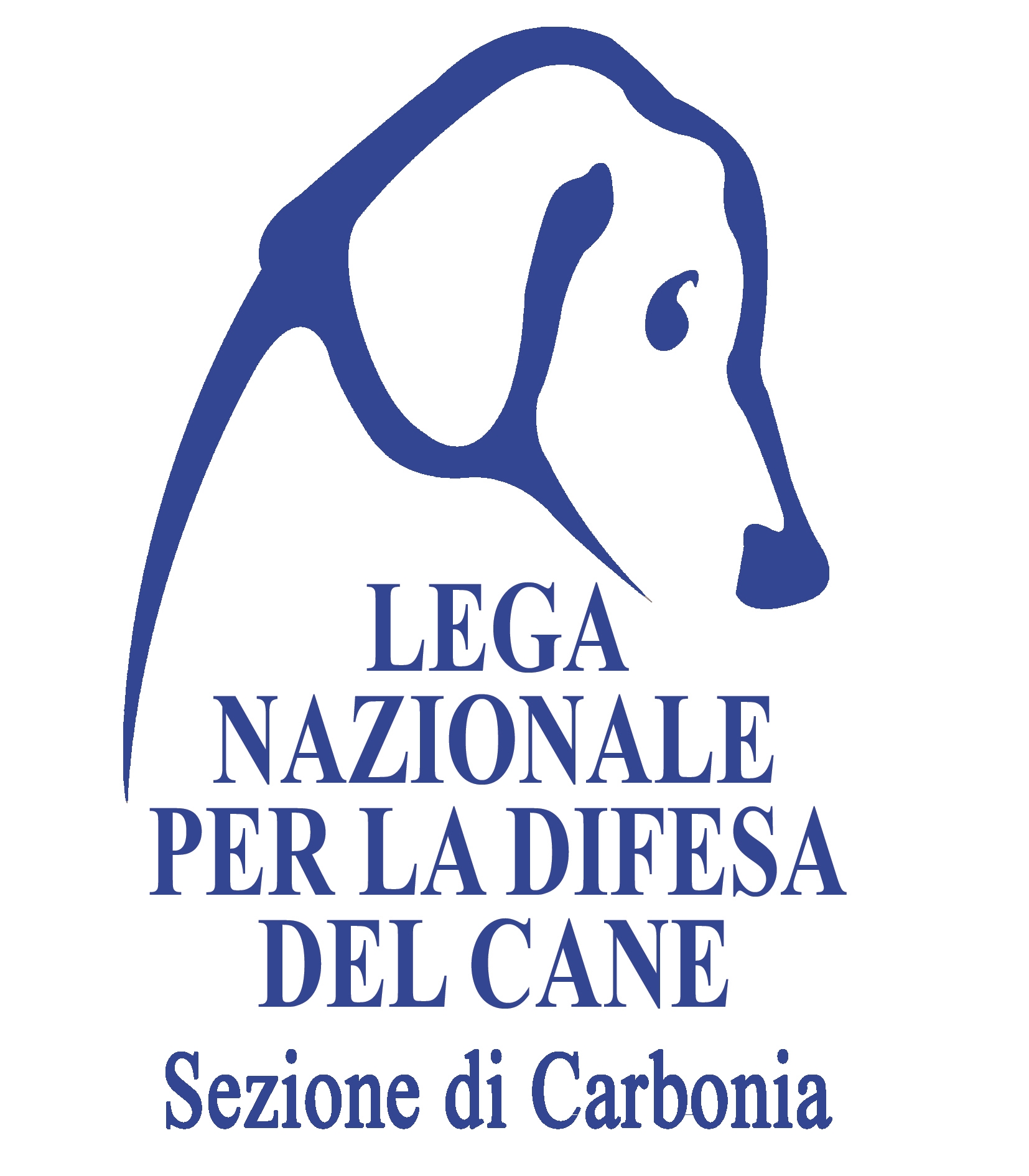 logo onp