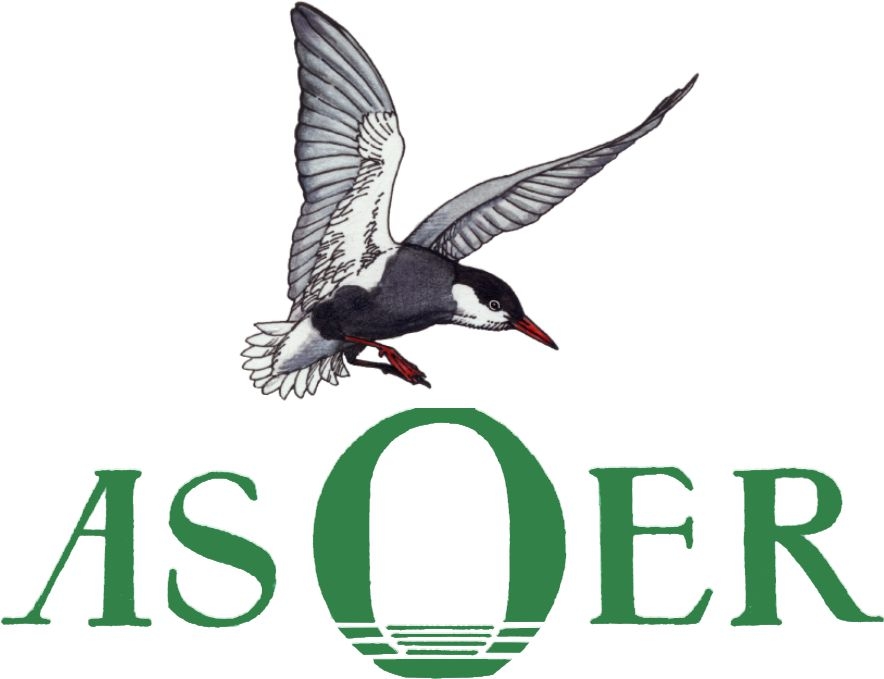 logo onp