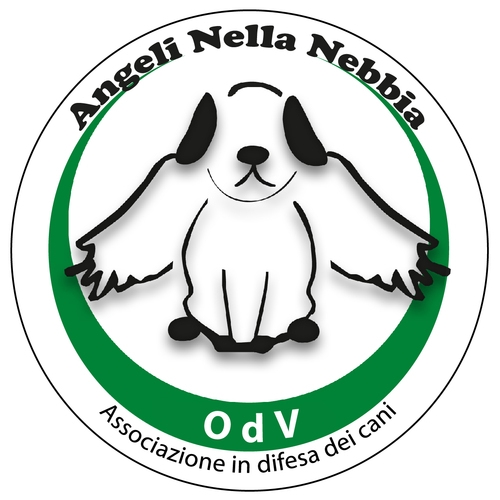 logo onp