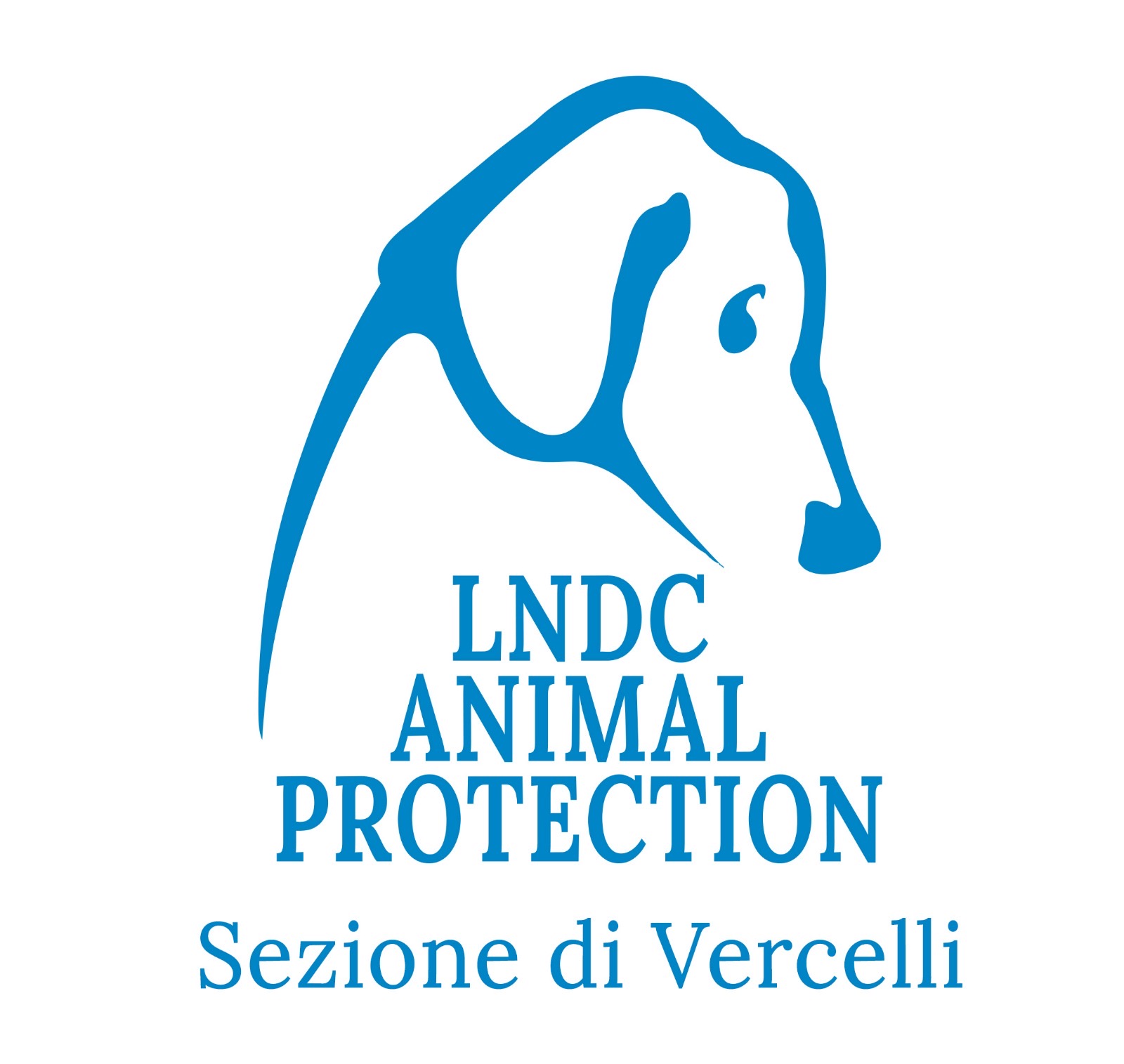 logo onp
