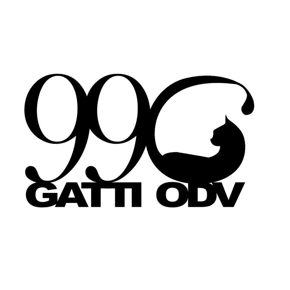 logo onp