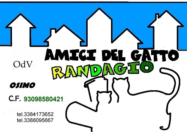 logo onp
