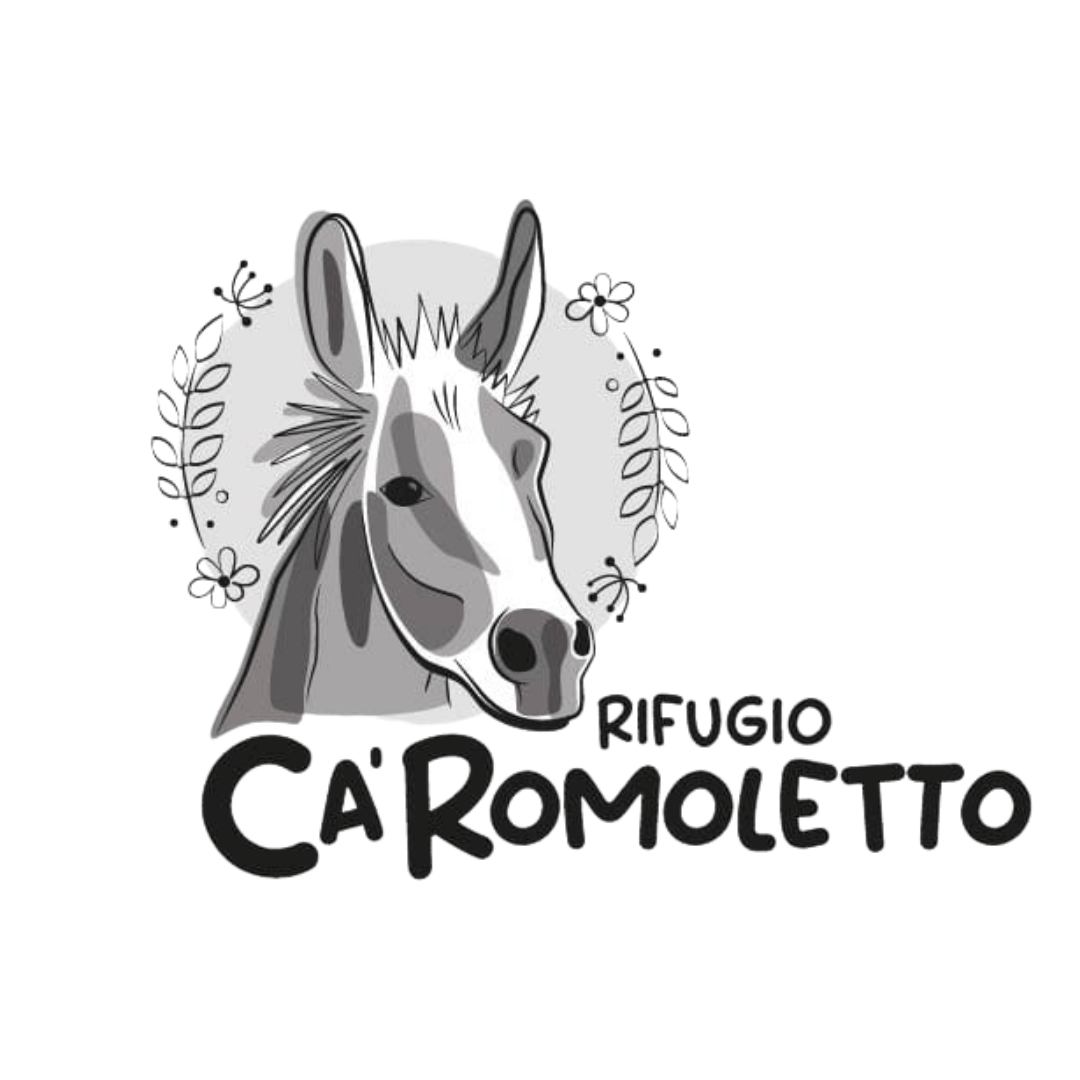 logo onp